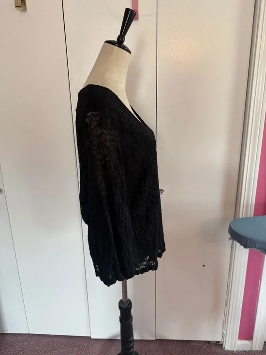 Joseph Black Lace V-Neck Long-Sleeve Blouse - Picture 6 of 7